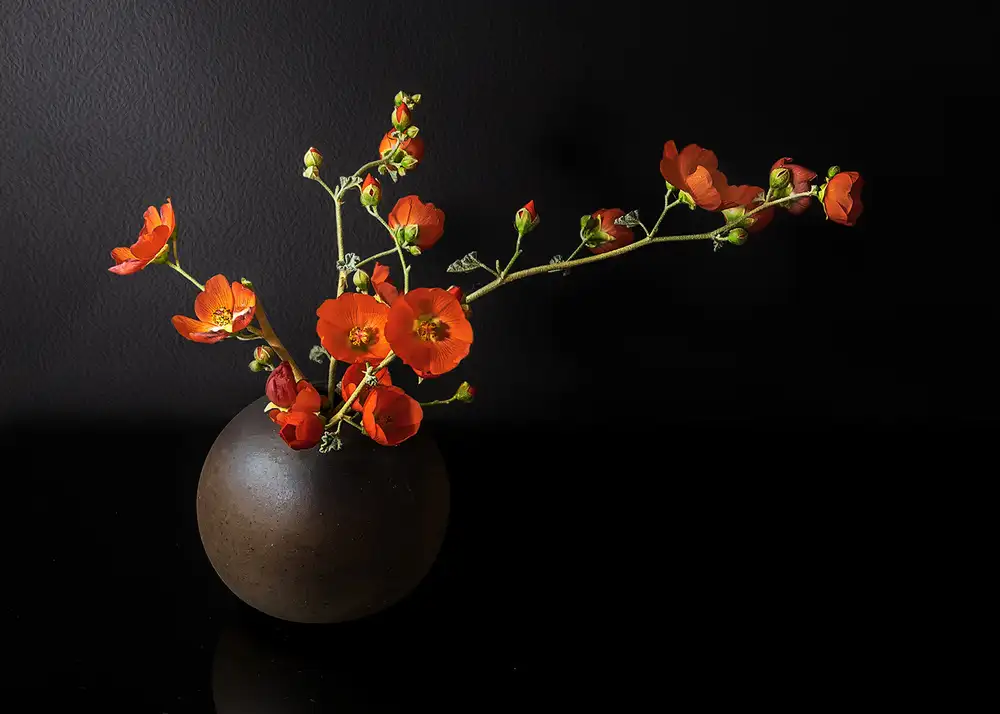 Poreider, Annie: Fiori di campo in fiore