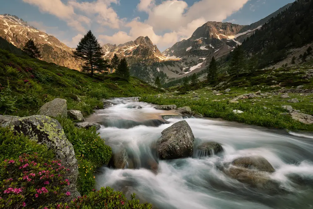 Bolla, Paolo: Seealpenpark