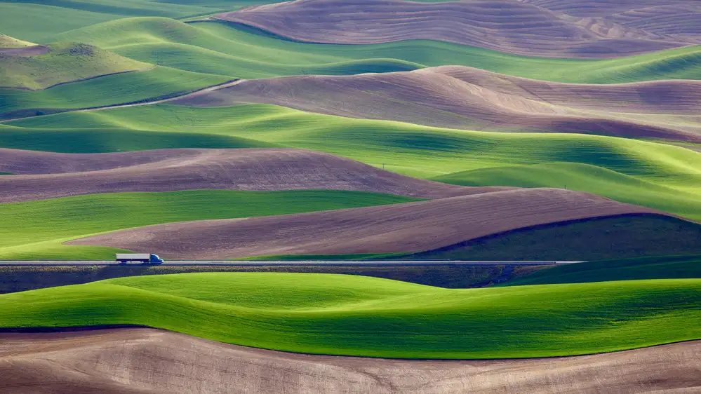 Gao, Danny: Guidando nel campo di grano a Palouse
