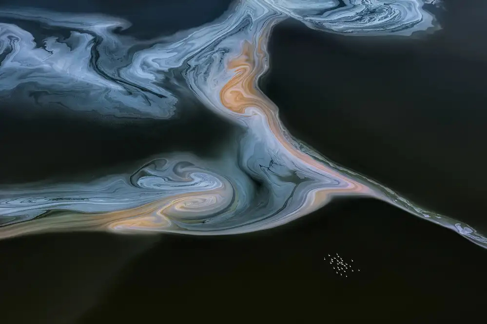 Zuo, Jun: Lac coloré