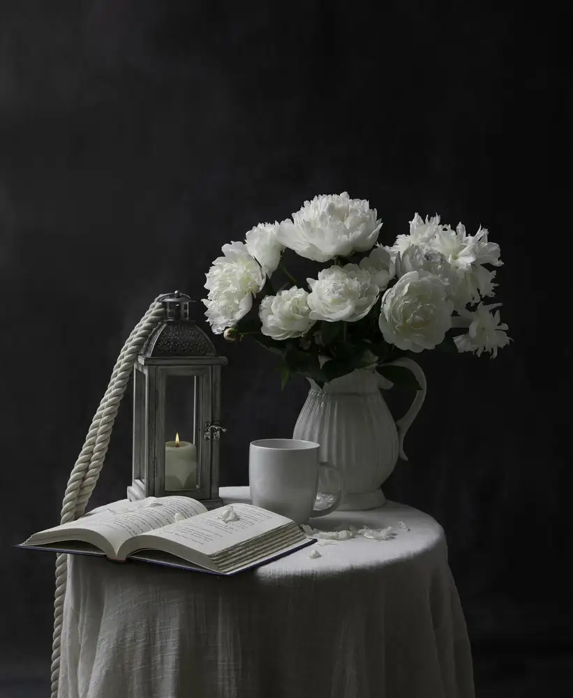 Binbin, L.: Peonia Bianca