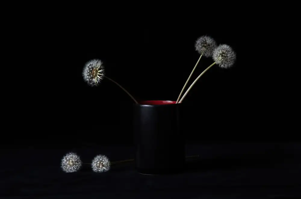 Meng, LM: Blanc noir et rouge