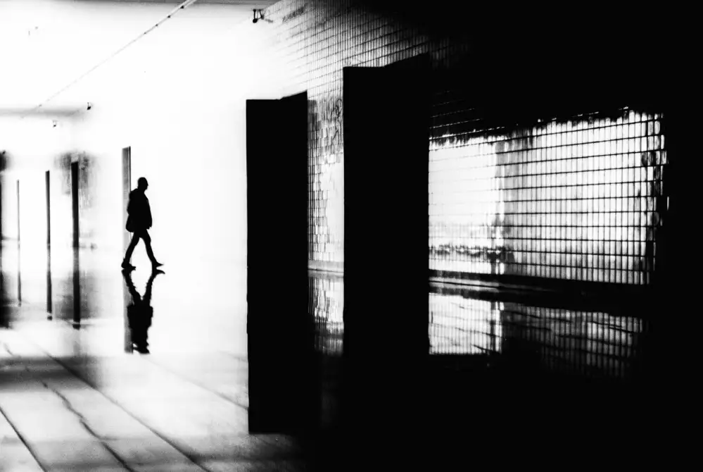 Abrantes, Paulo: Schatten auf der Flucht