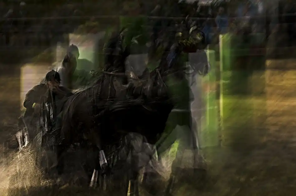 Malovrh, Milan: Maratona a coppie di cavalli