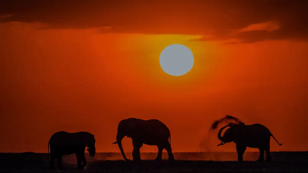 Zhang, Zhanhai: Sonnenuntergang in Kenia