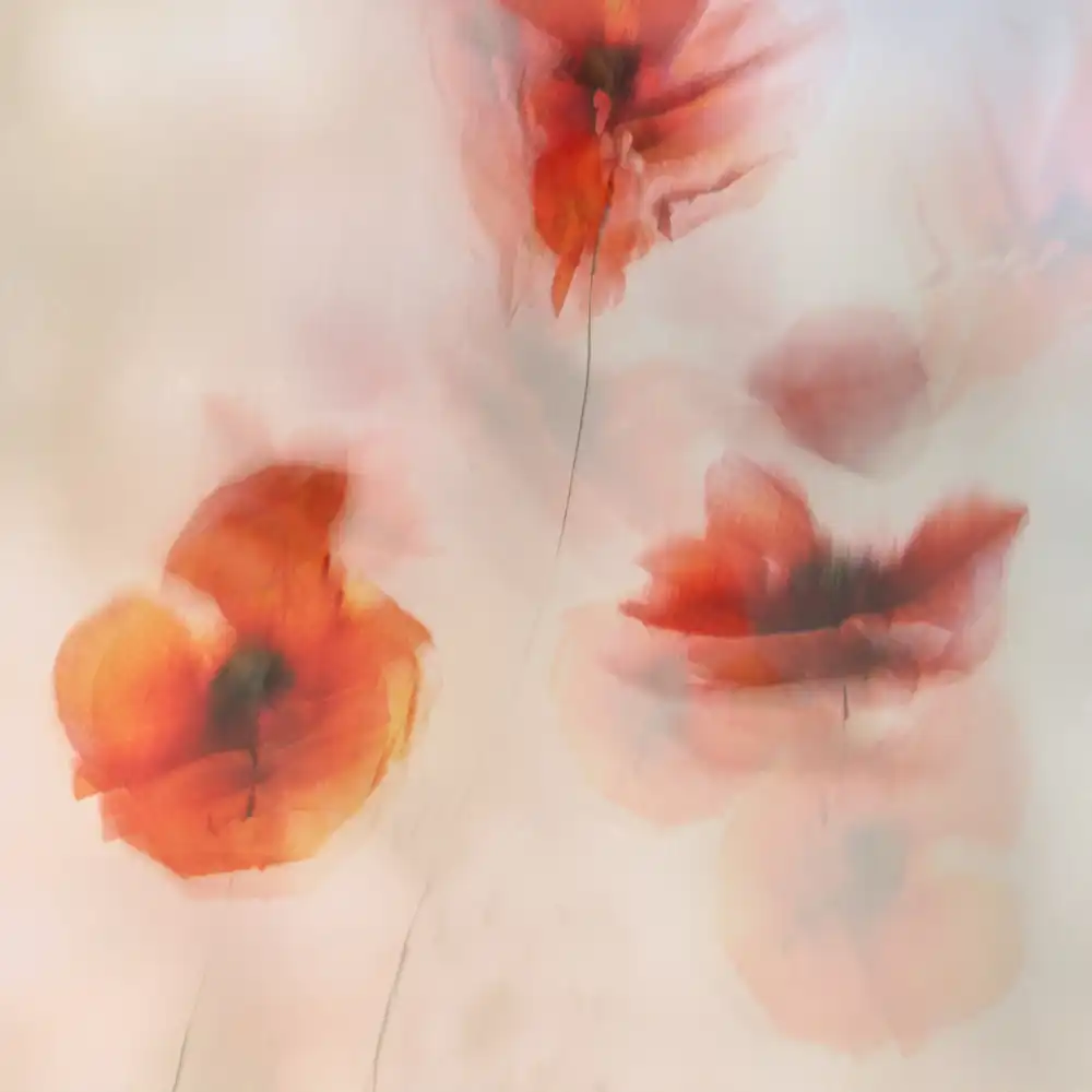 Talen, Nel: Bemalte Mohnblumen