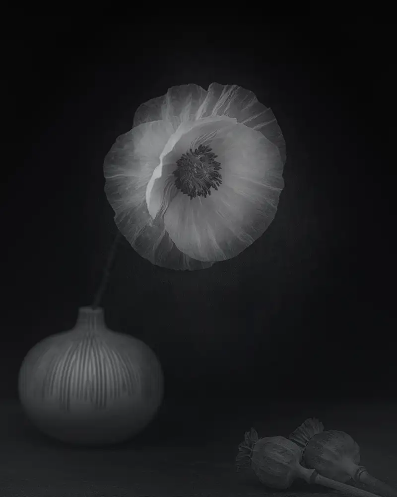 Grønkjær, Lotte: Coquelicots & vase