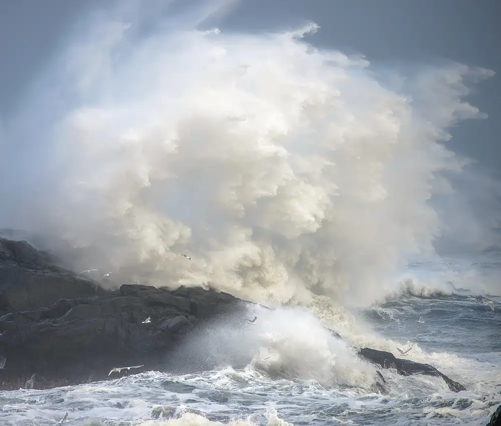 Anton, Rostovskiy: Tempesta