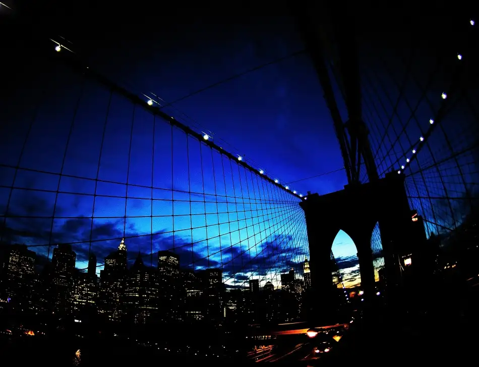 Pellegrini, Fulvio: I colori di Brooklyn