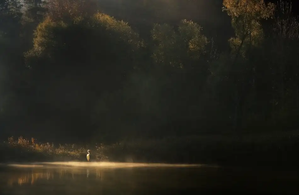 Maier, Norbert: Unten am Fluss