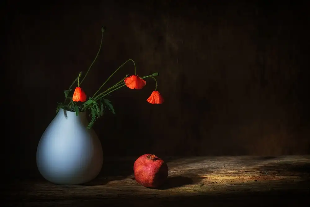 Dingemans, Saskia: Semplicemente rosso