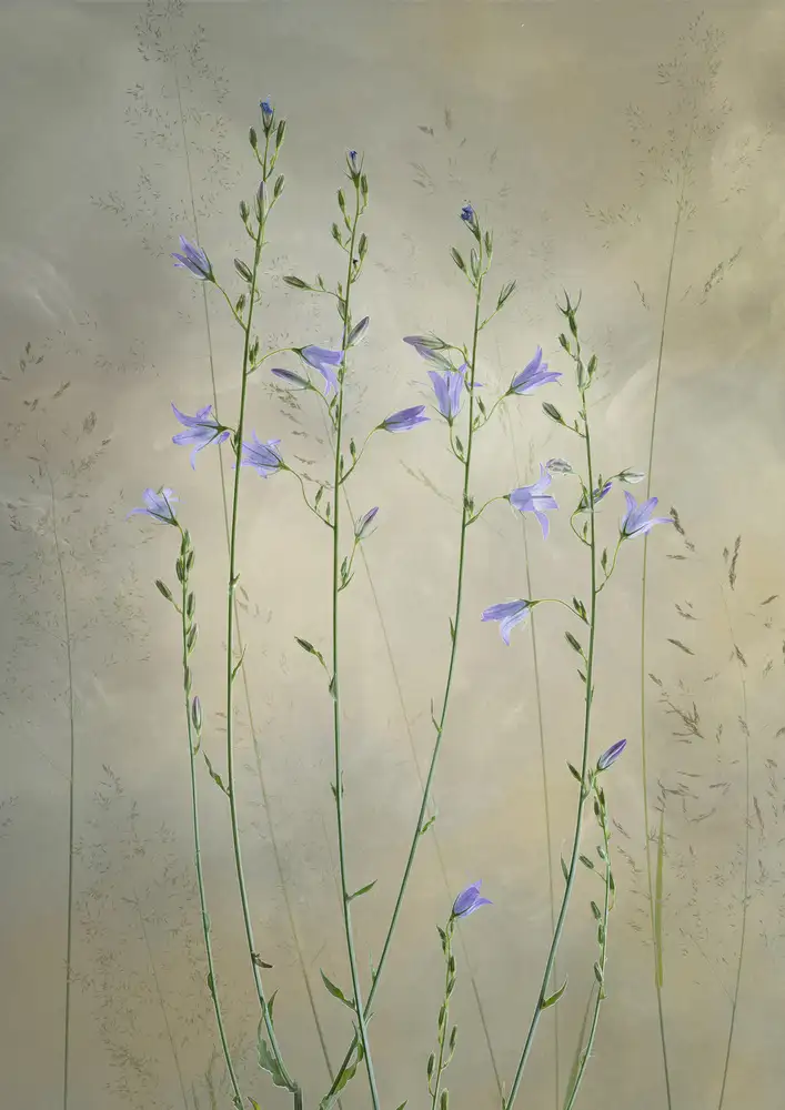 Son, van Greetje: Schöne Natur