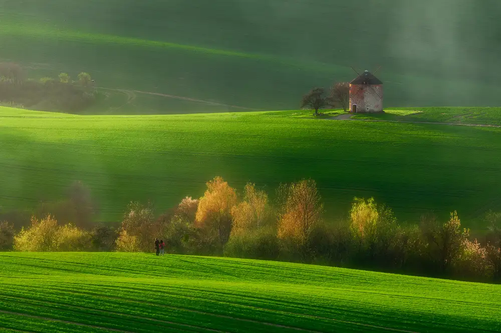 Rojek, Tomasz: viento de molino