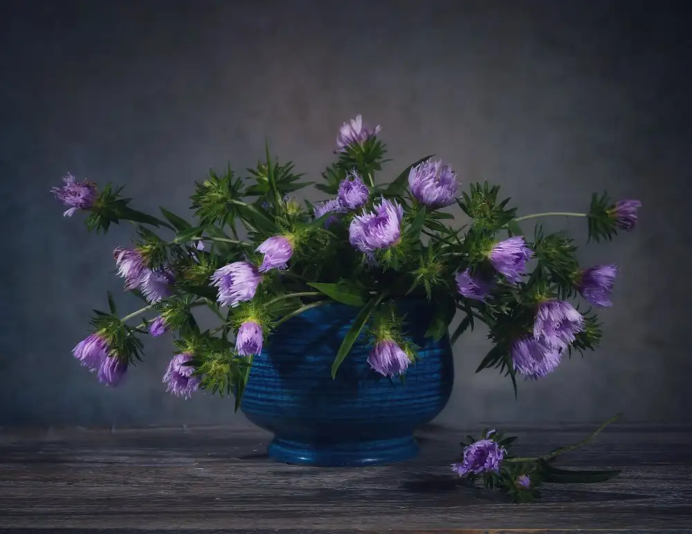 Zhou, Fangping: Margherita Fleabana
