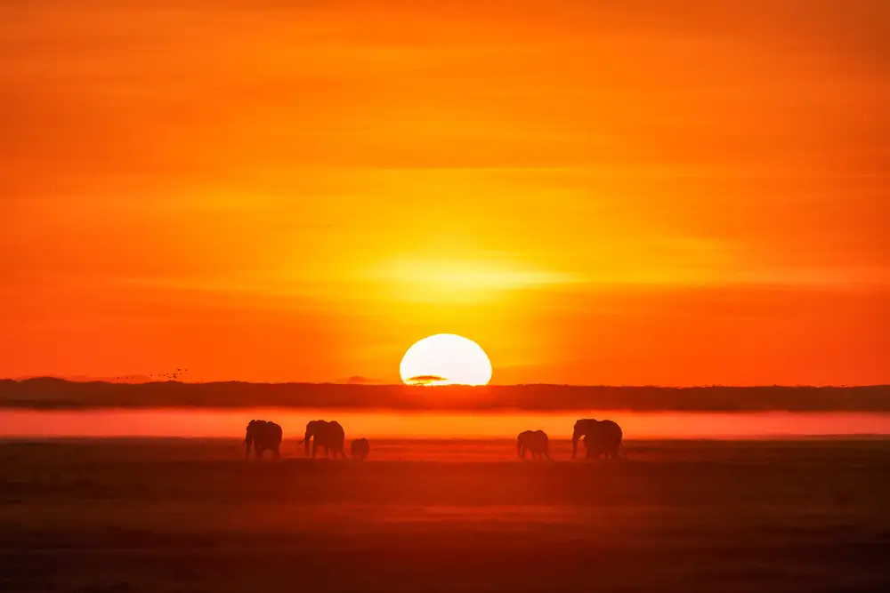 Wang, Keren: Africa Impression