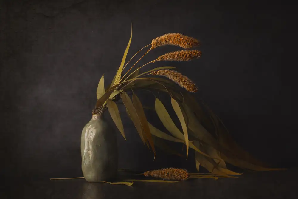 Kiral, Cicek: Leaves  From  Autumn
