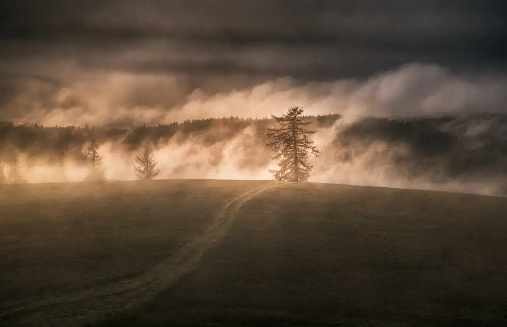 Svoboda, Peter: Nebbia in aumento