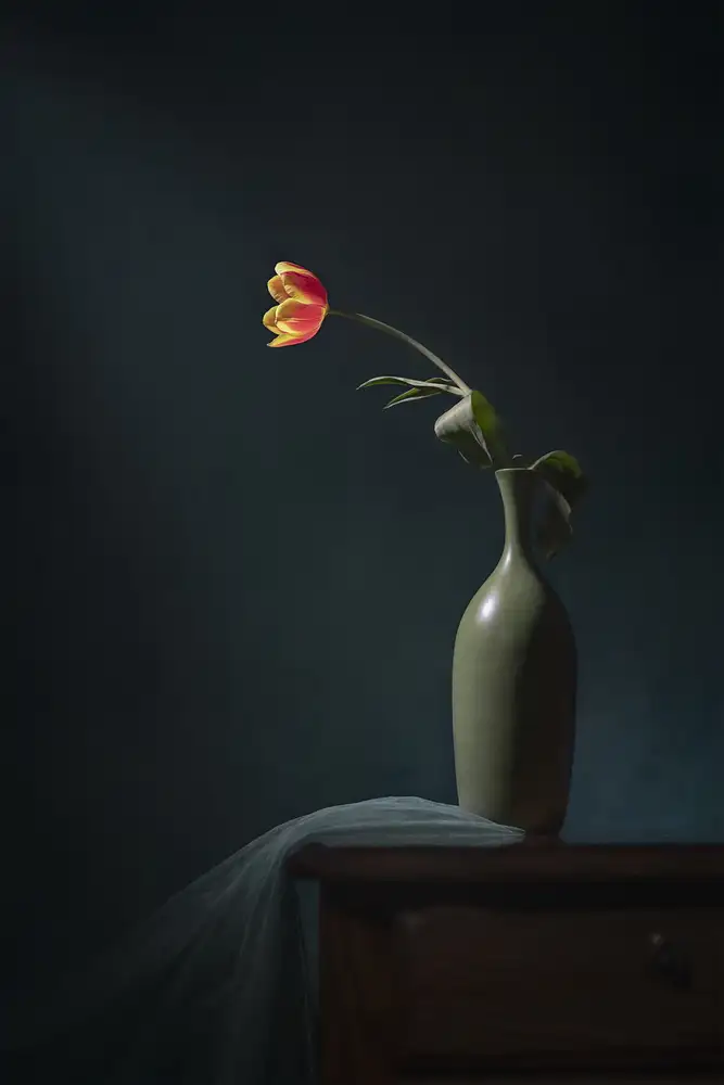 Jacobs, Lydia: Oranžový tulipán