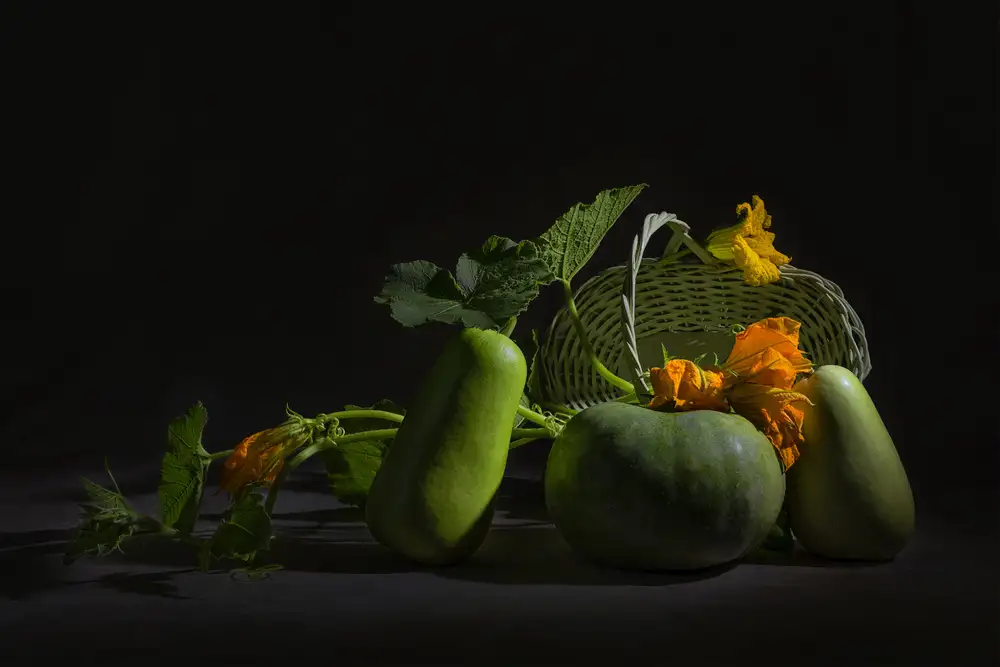 Jacobs, Lydia: Gartenmelonen