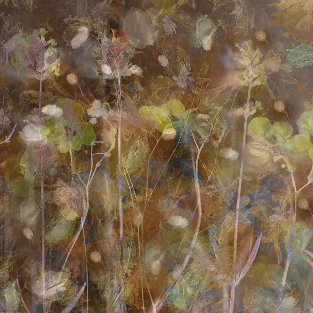 Dingemans, Saskia: Letní pastel