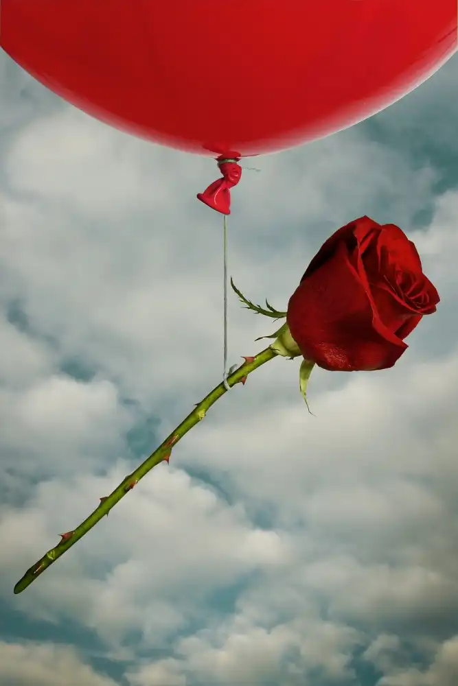 Solo, Mister: Rosa e Rosso