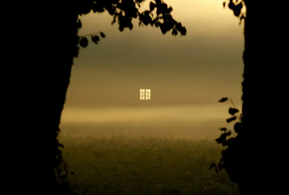 Wallberg, Allan: ein Fenster im Morgennebel