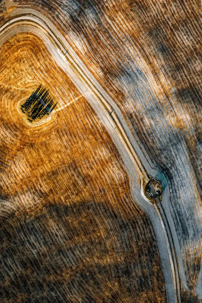 Chiriacò, Carmine: serie Toscana - Linee e Curve