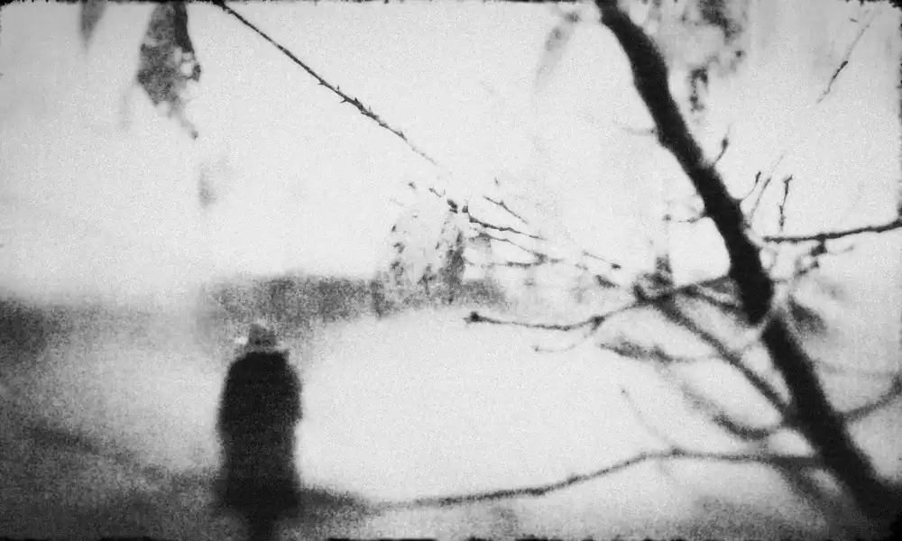 Tsuchida, Teruhiko: Solitudine...