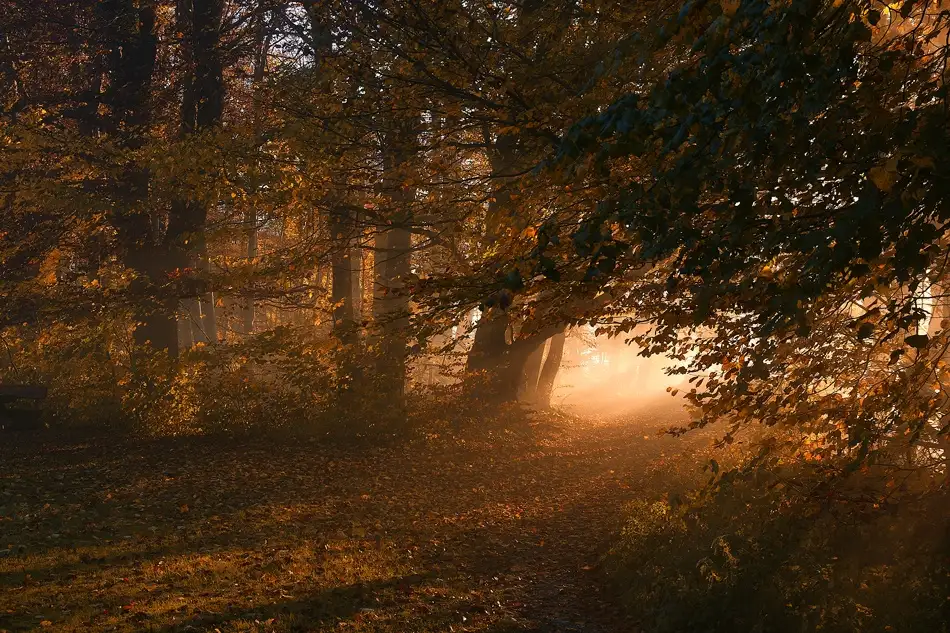 Maier, Norbert: Oktober