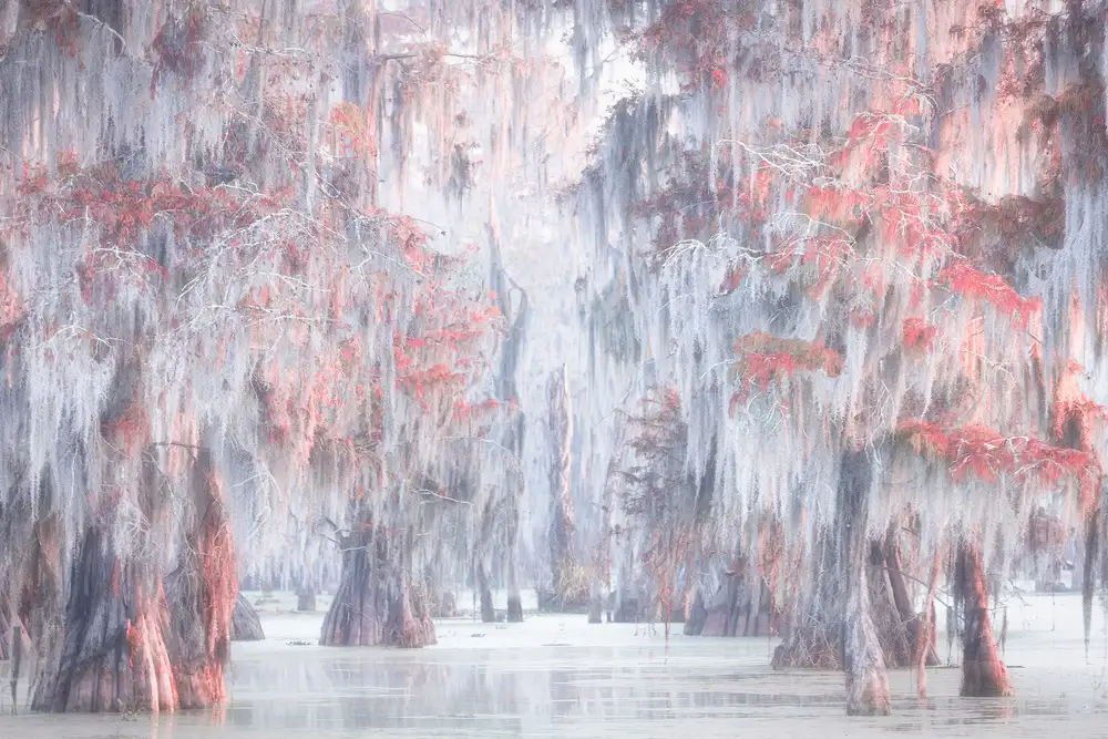 Marchegiani, Roberto: Atchafalaya River