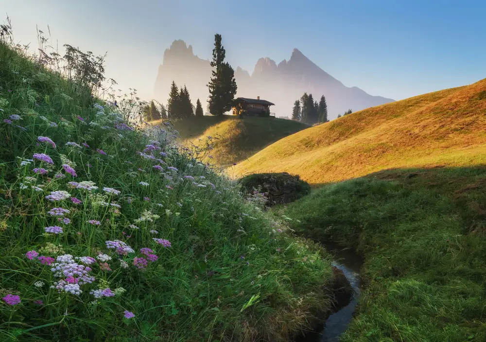 Krivec, Ales: Mattino fiorito