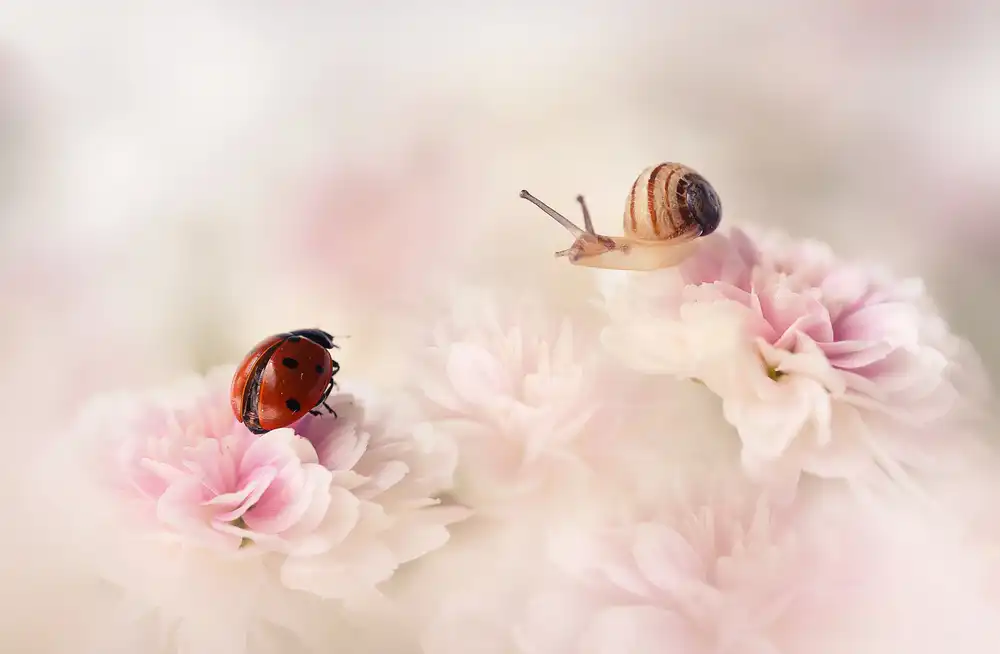 Deelen, van Ellen: Ein wunderschöner Tag im Sommer