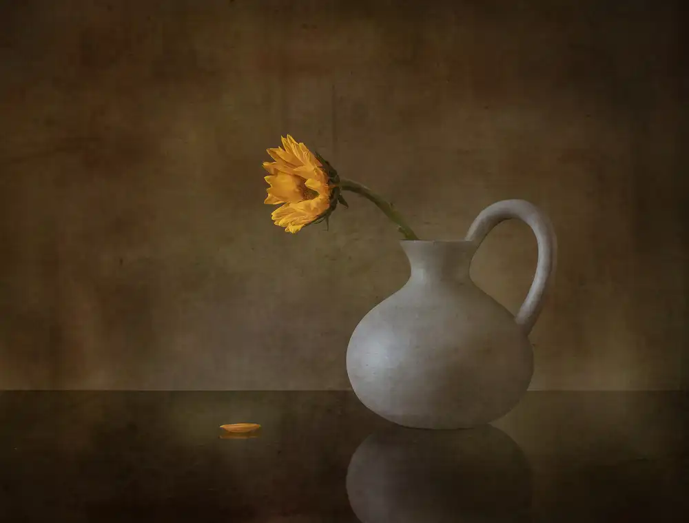 May, G.: Vita