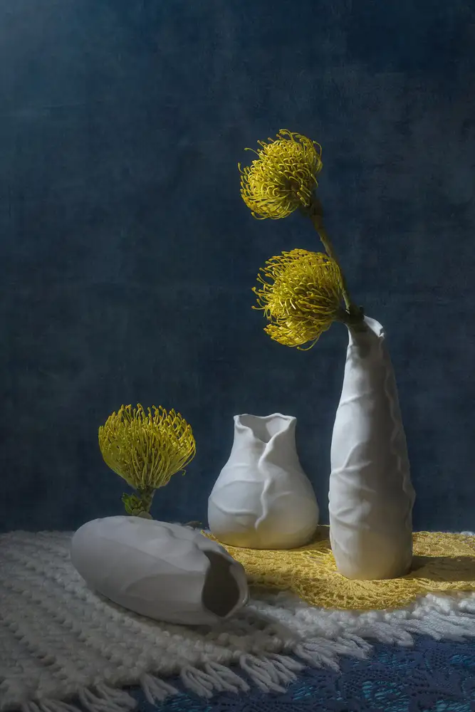 Jacobs, Lydia: Tři Leucospermums