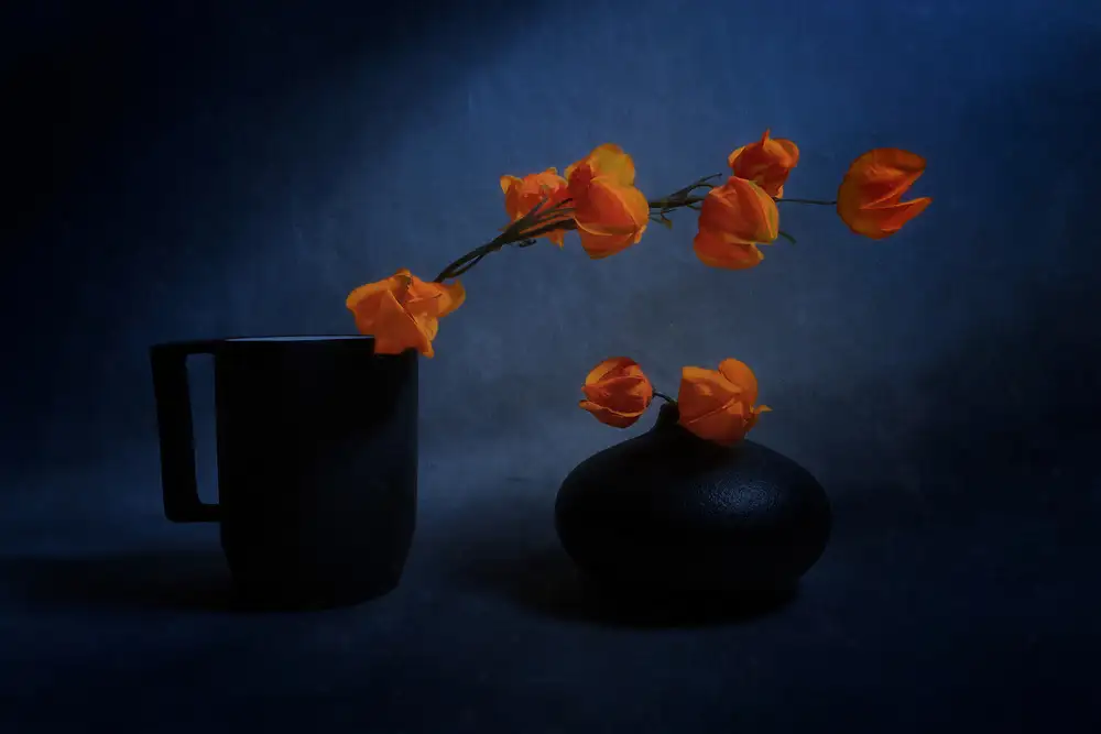 Wei, and Siyu: Luce blu