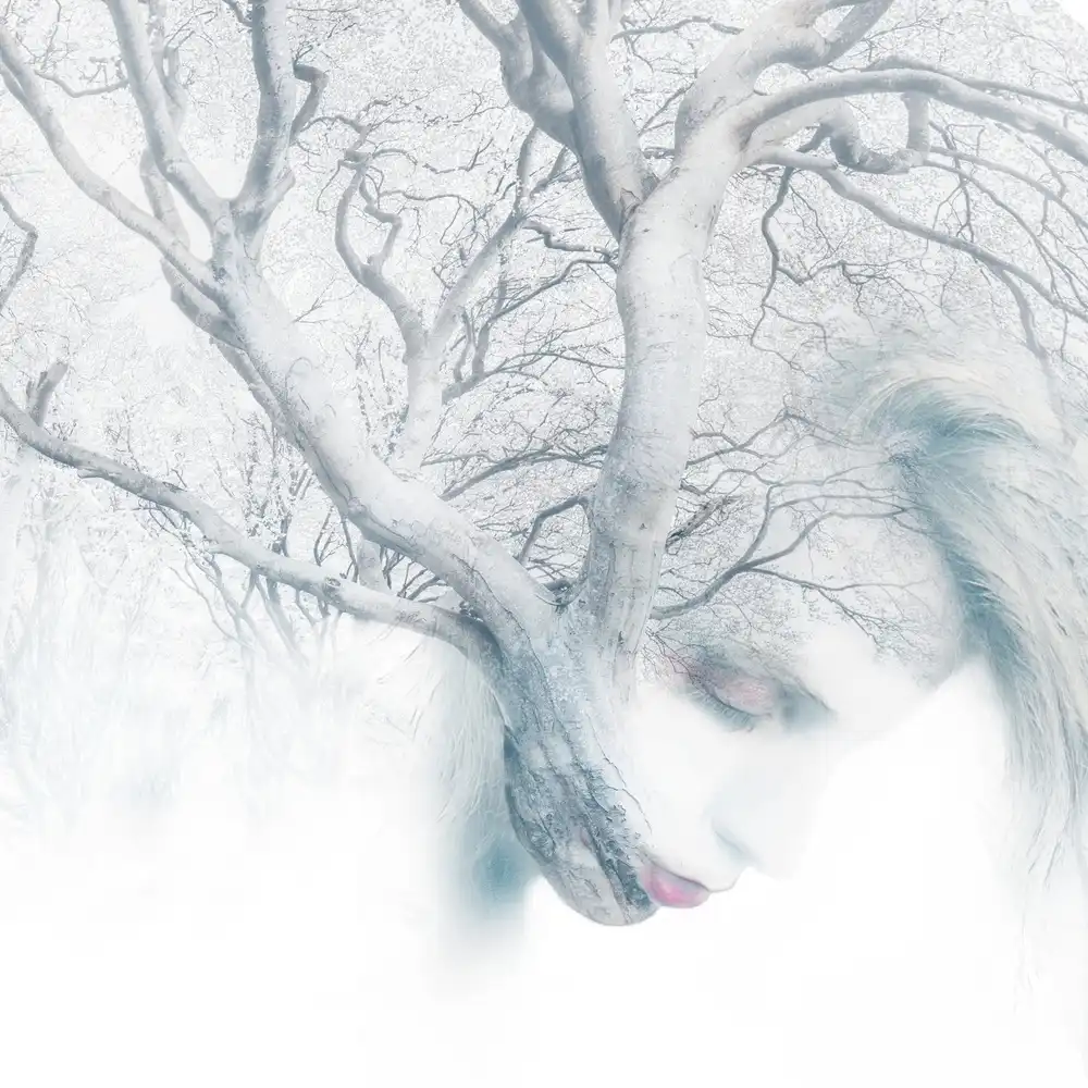 Gregorio, Tommaseo: Strom