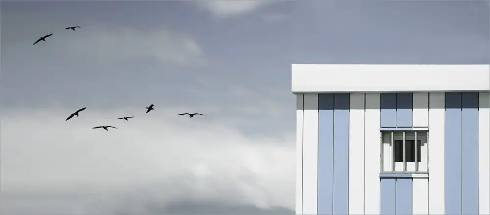 Claes, Gilbert: loft de gaviotas