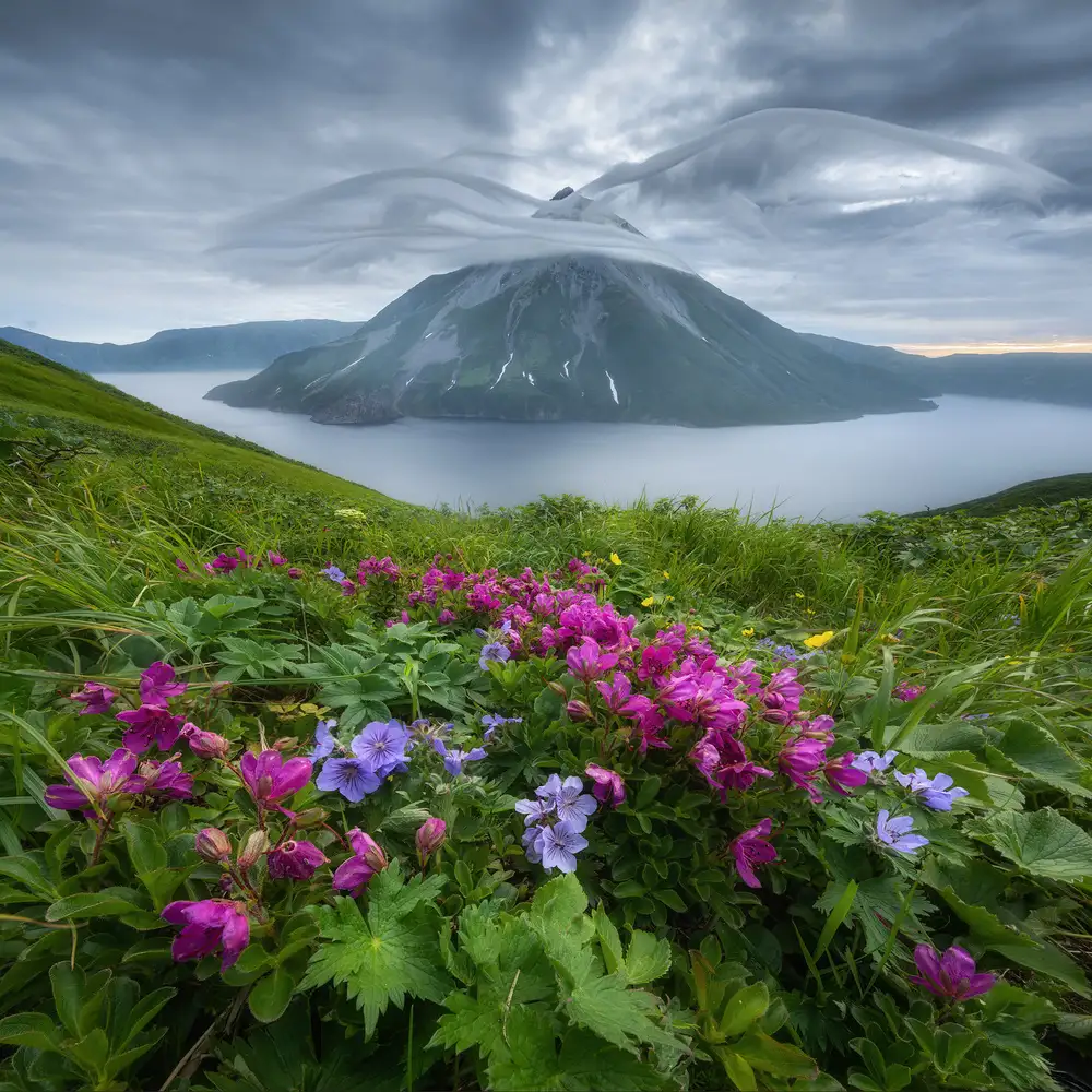 Kukrinov, Alexandr: Fiori e ali...