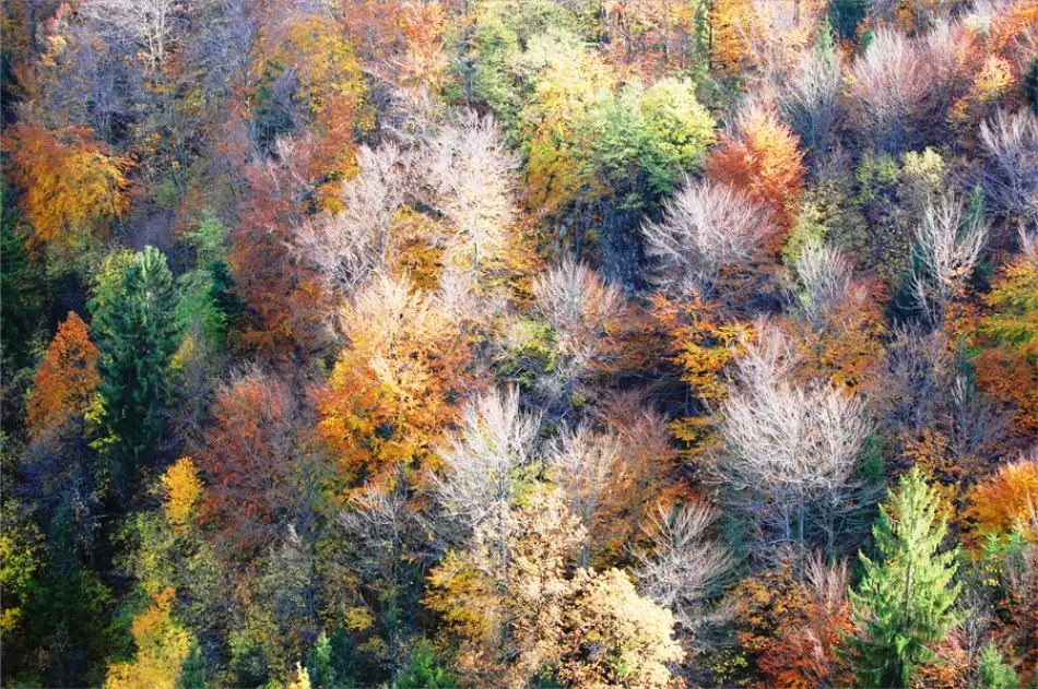 Barbara: Welche Farbe hat der Herbst?