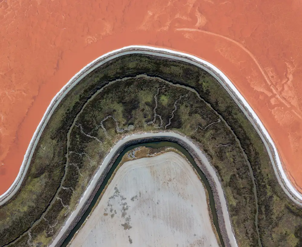 Eliash, Tomer: Proyección topográfica