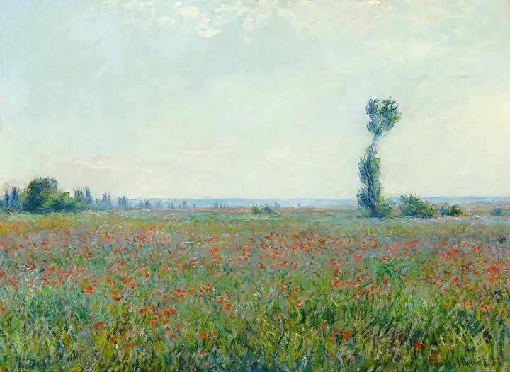 Monet, Claude: Makové pole