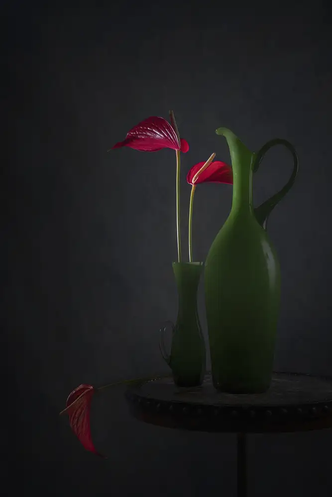 Jacobs, Lydia: Červené Anthurium
