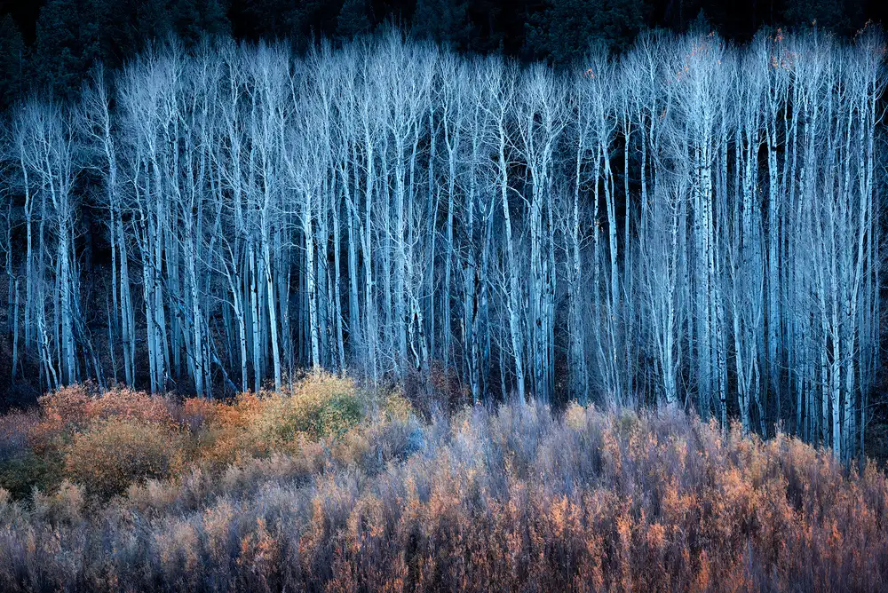 Xu, Mei: Fine dell'autunno