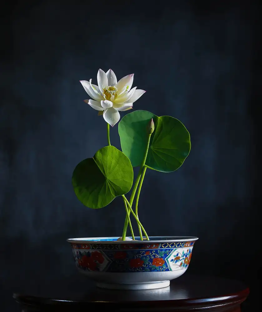 Zhou, Fangping: Ciotola di loto