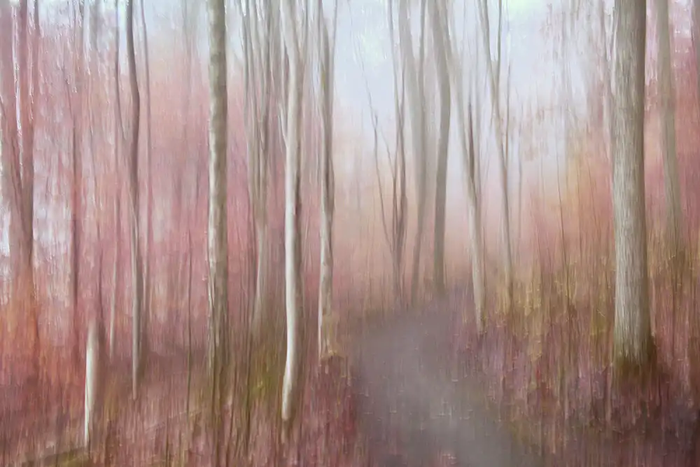 Sillèn, Christina: Autunno dolce