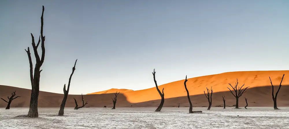 Ruoppolo, Luigi: Deserto della Namibia