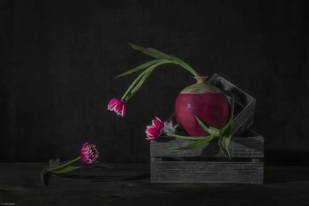 Jacobs, Lydia: Tulipani Chitcha