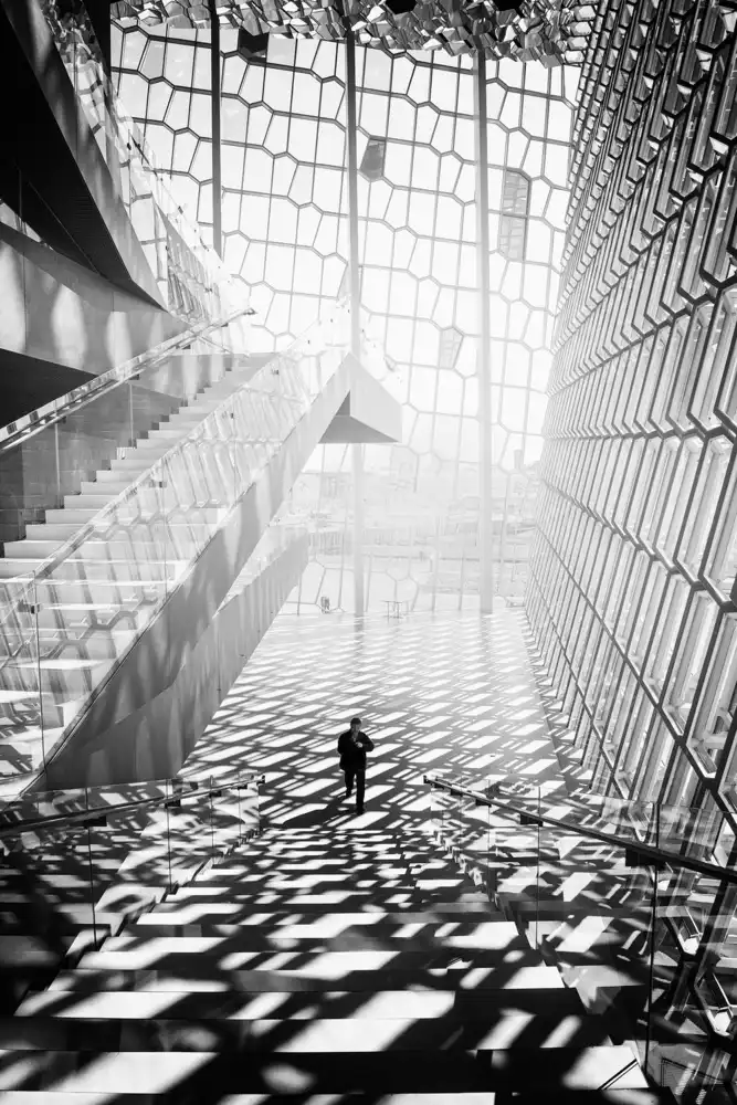 Kravanja, Jure: Harpa
