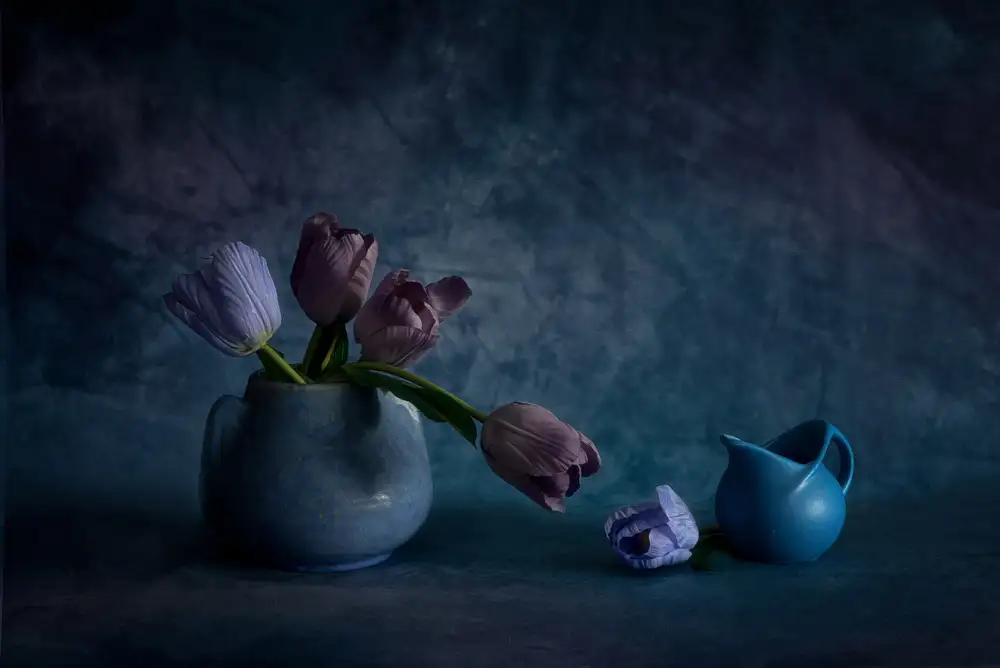 Xu, Wendy: tulipanes
