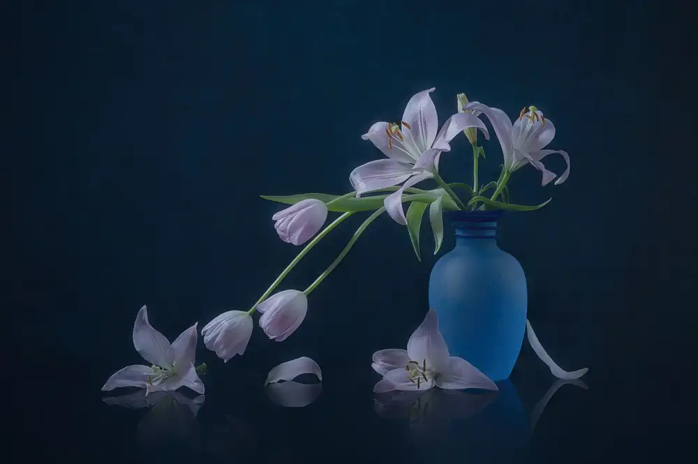 Jacobs, Lydia: Tulpe und Lilie